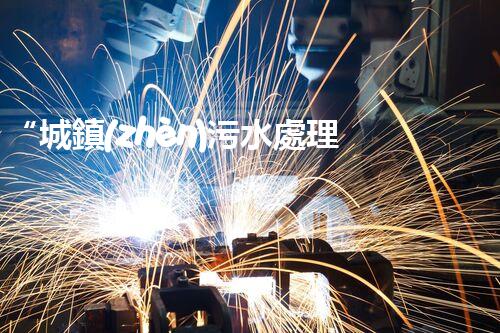 “城鎮(zhèn)污水處理提質(zhì)增效，綠色以后共筑輝煌”